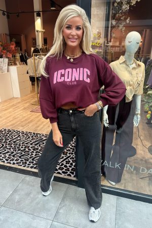 Iconic trui bordeaux