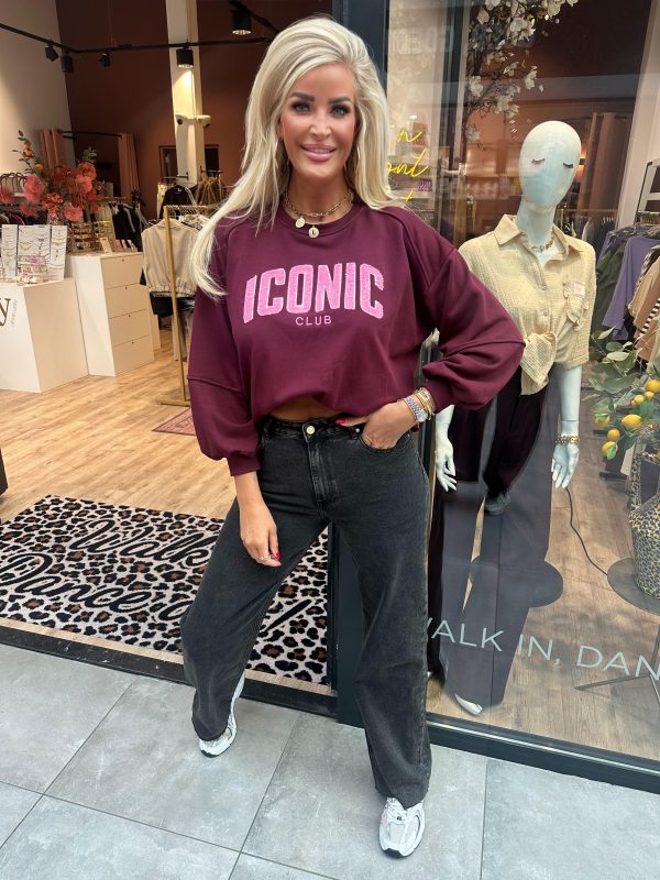 Iconic trui bordeaux
