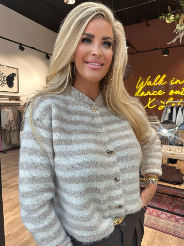 Vest Moniek beige ecru streep - Afbeelding 2