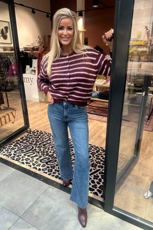 Vest Moniek aubergine - roze streep